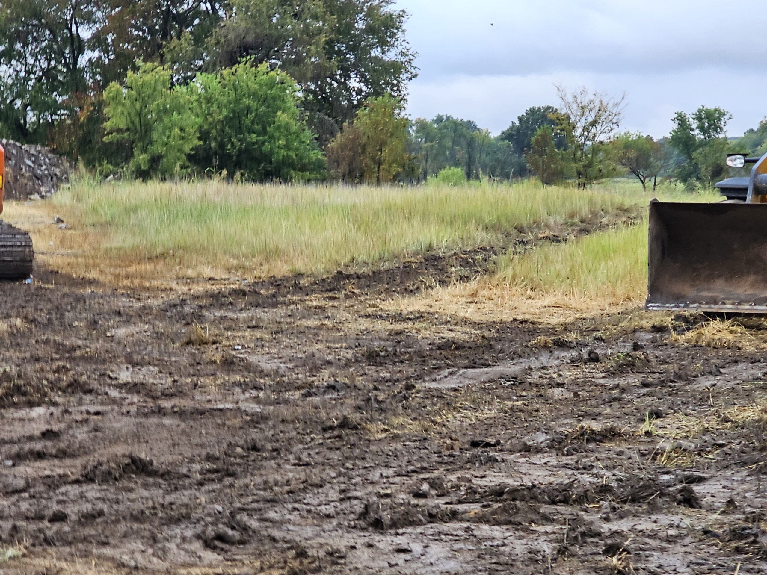 septic site