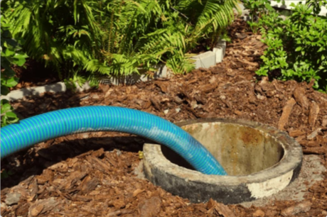 septic pumping & septic cleaning