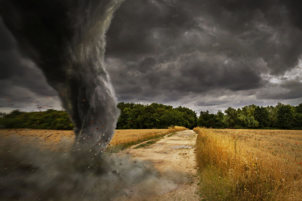 storm shelter