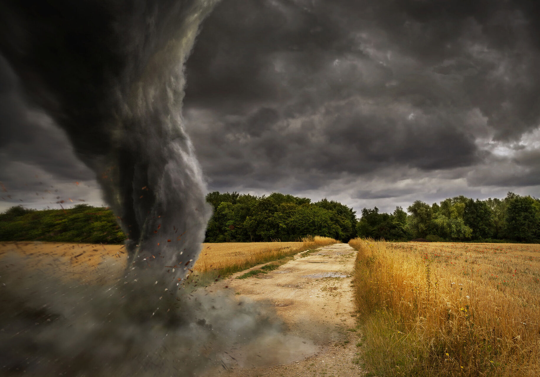 storm shelter
